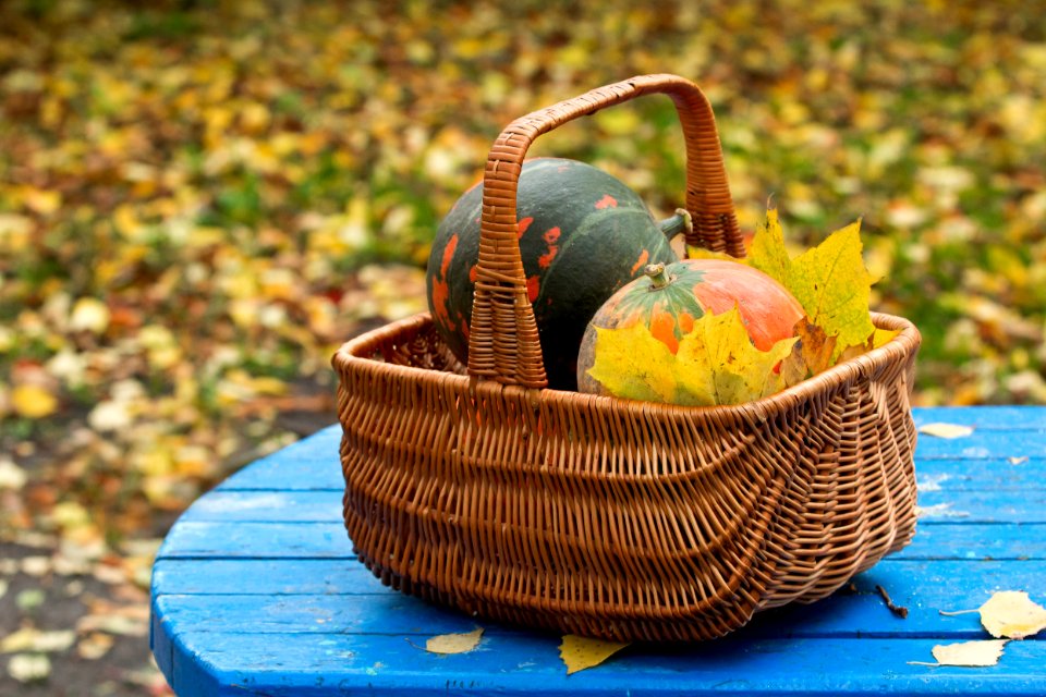 Basket Gift Basket Picnic Basket Still Life