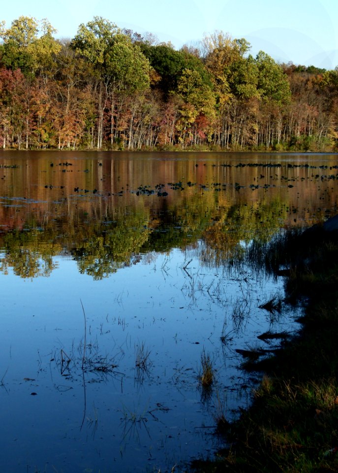 Reflection Water Nature Body Of Water