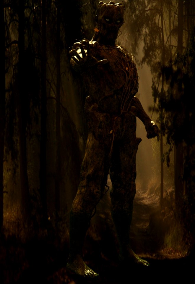 Forest Tree Darkness Jungle