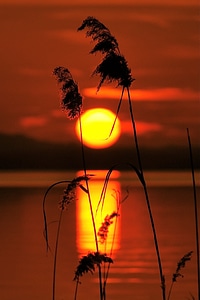 Landscape sun evening