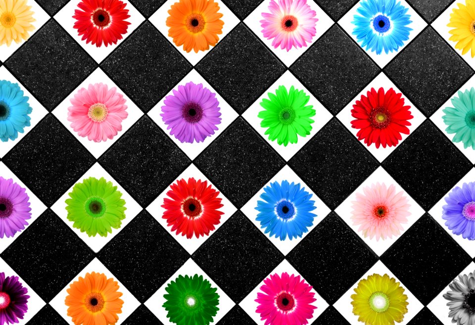 Pattern Textile Design Material