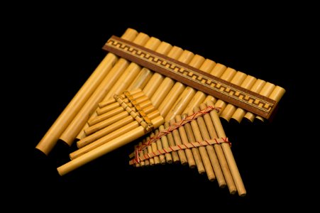 Free Reed Aerophone Musical Instrument Pipe Flageolet