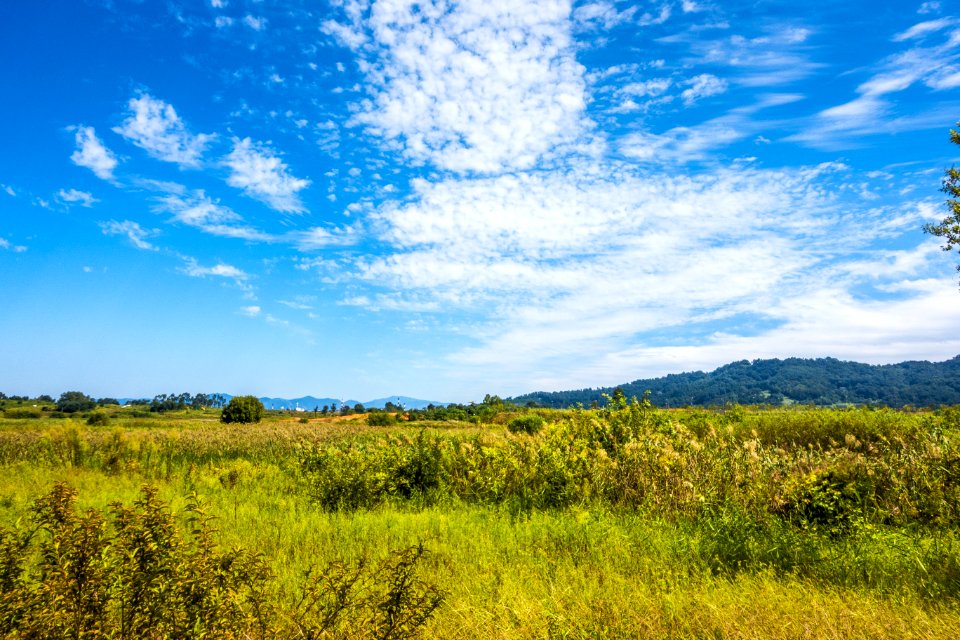 Sky Grassland Ecosystem Cloud