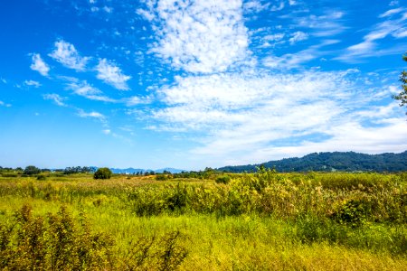 Sky Grassland Ecosystem Cloud photo