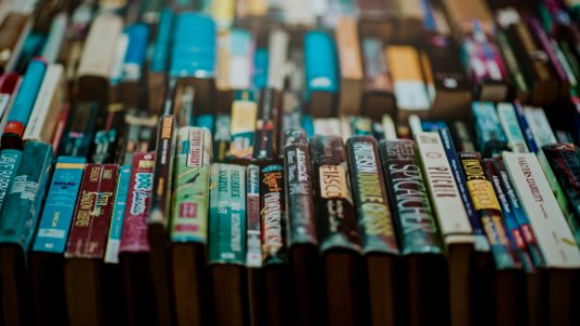 Assorted-title Novel Book Photo