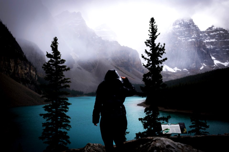 Photography Of Person Wearing Coat Standing Between Tall Trees Near River
