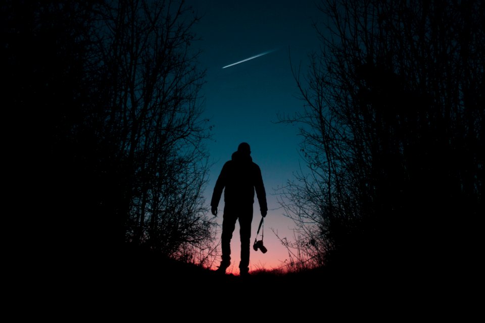 Silhouette Of Man And Trees