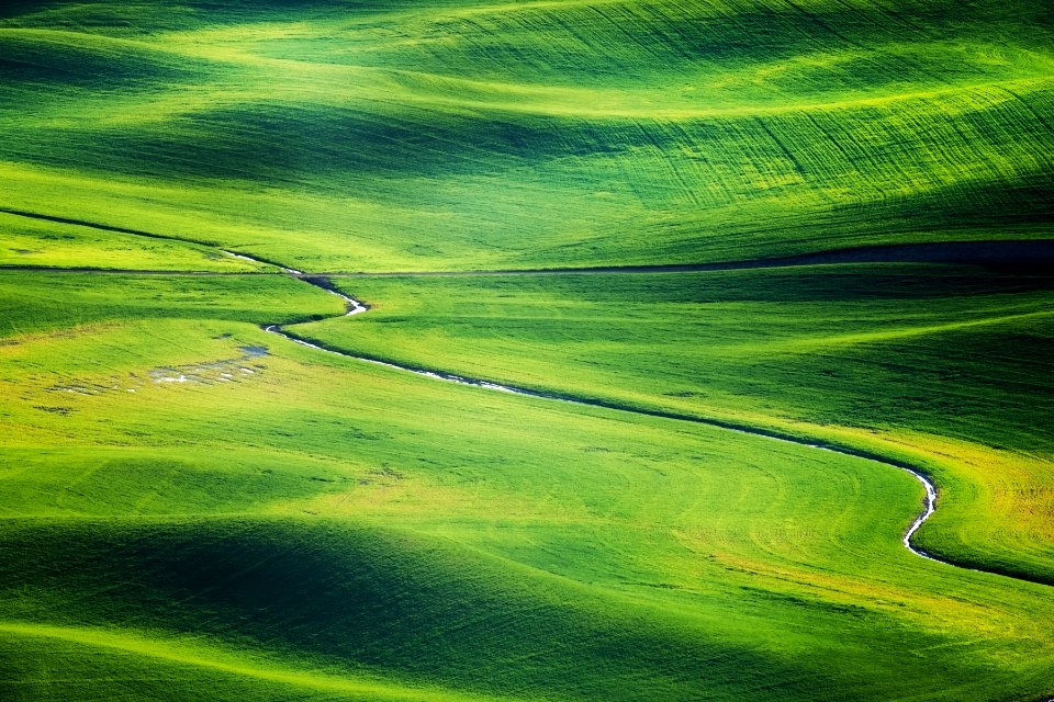 Green Grass Field