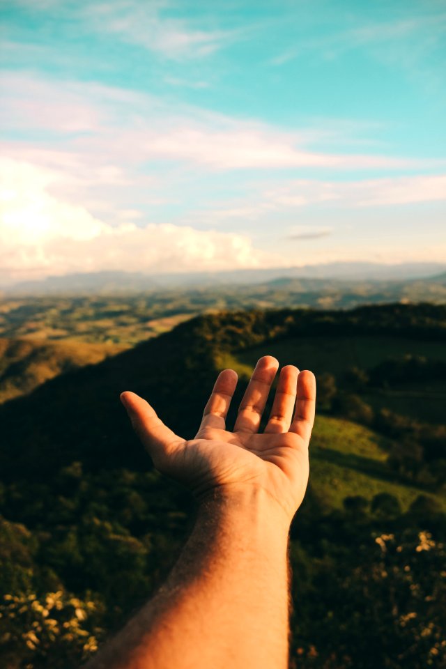 Persons Left Hand