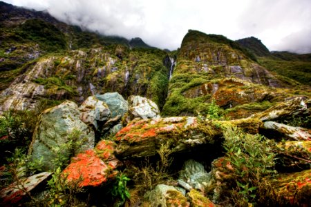 Vegetation Wilderness Nature Reserve Rock photo