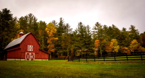 Barn Farm Ranch photo