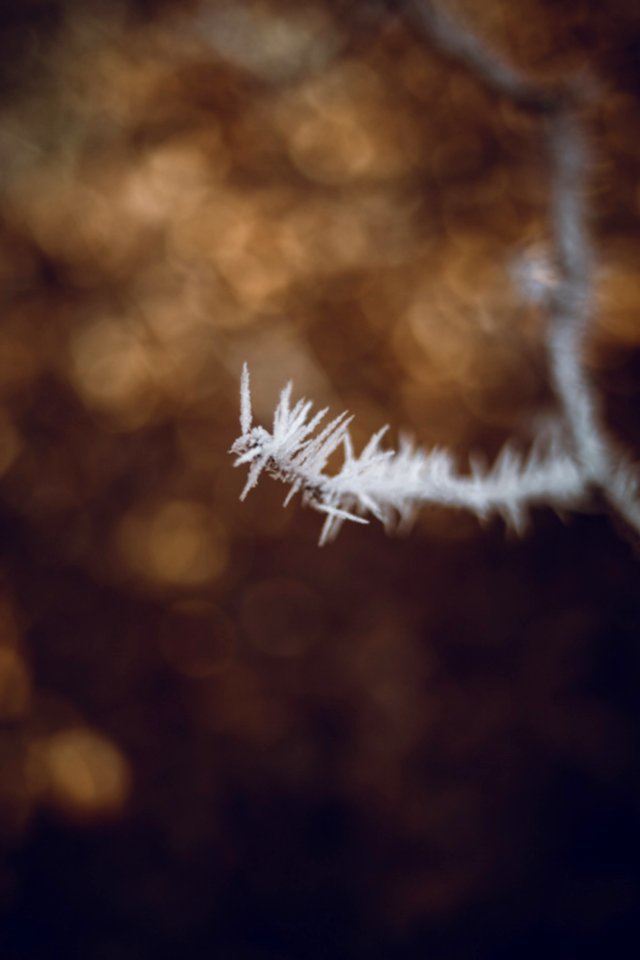 Swirley Bokeh Ice Crystal