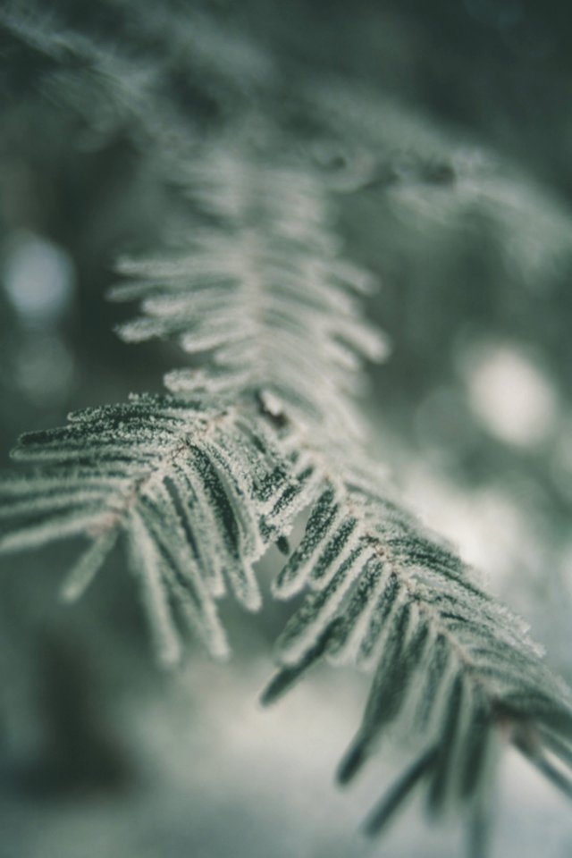 Swirley Bokeh Ice Crystal