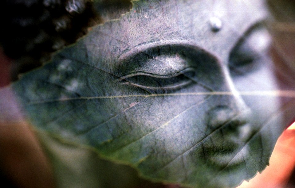 Just Quietly Vanish Inside Yourself Disappear So Beautiful