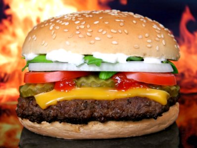 Hamburger Fast Food Cheeseburger Veggie Burger