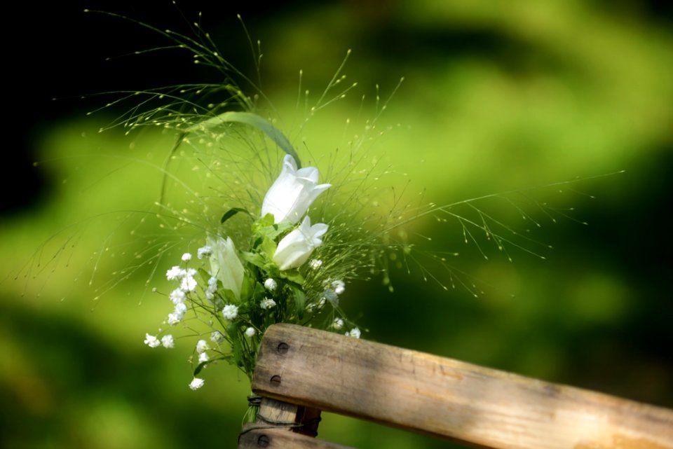 Water Macro Photography Moisture Grass