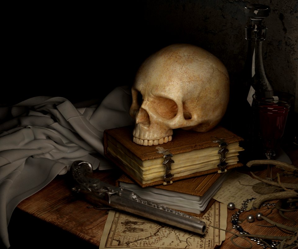 Still Life Still Life Photography Bone Skull