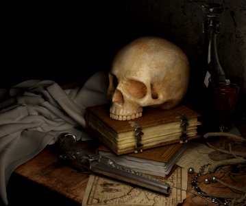 Still Life Still Life Photography Bone Skull photo