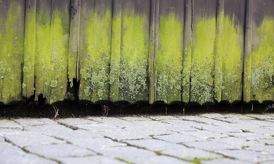 Fence transient decay
