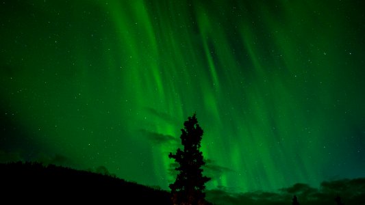 Green Nature Aurora Atmosphere