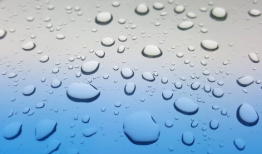 Drop Water Moisture Close Up photo