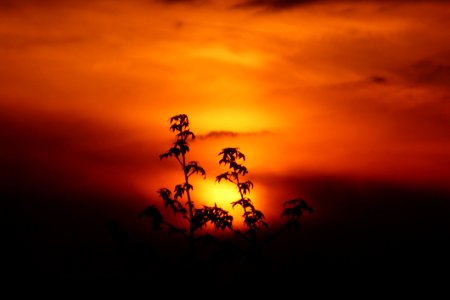 Sky Sunrise Sun Sunset