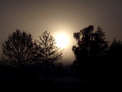 Sky Tree Atmosphere Sunrise photo