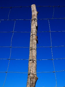 Sky Blue Wire Fencing Electricity
