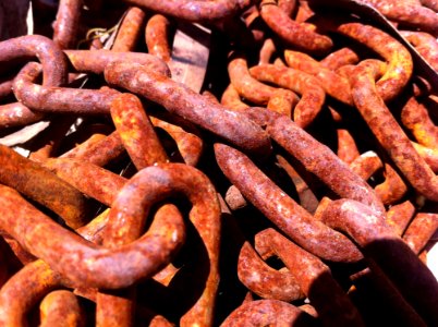 Sausage Kielbasa Bratwurst Meat