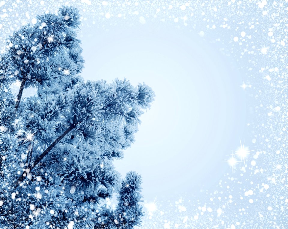 Winter Frost Sky Branch