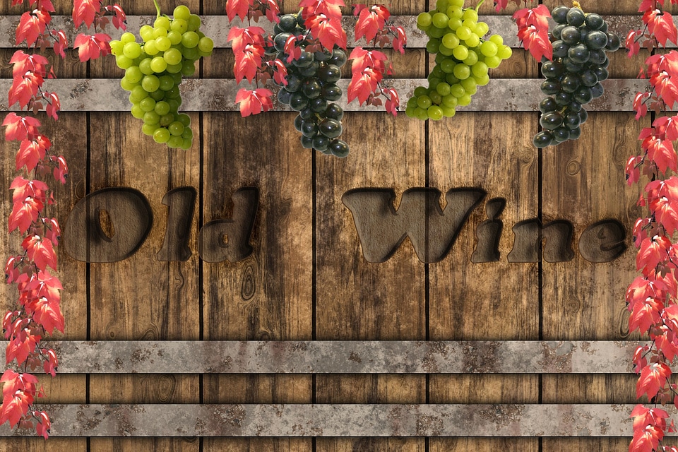 Vines autumn background