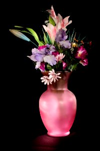 Pink Vase photo