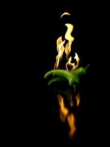 Green Chili With Fire