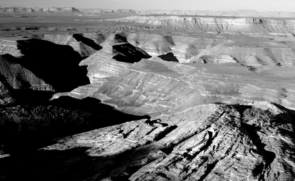 MULEY POINT SAN JUAN CO UTAH - 2016-09-26 - Campsite In Morning -05 -BW