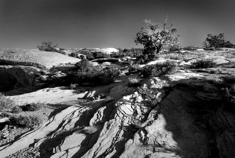 MULEY POINT SAN JUAN CO UTAH - 2016-09-26 - Campsite In Morning -16 -BW