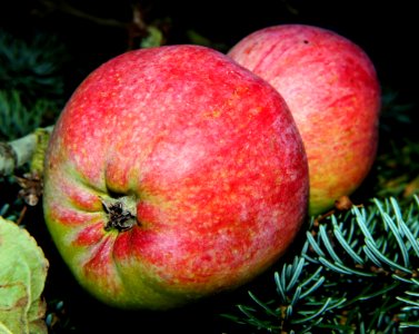 Natural Foods Fruit Apple Local Food