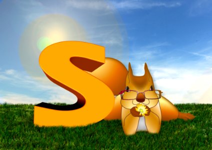 Yellow Sky Grass Daytime