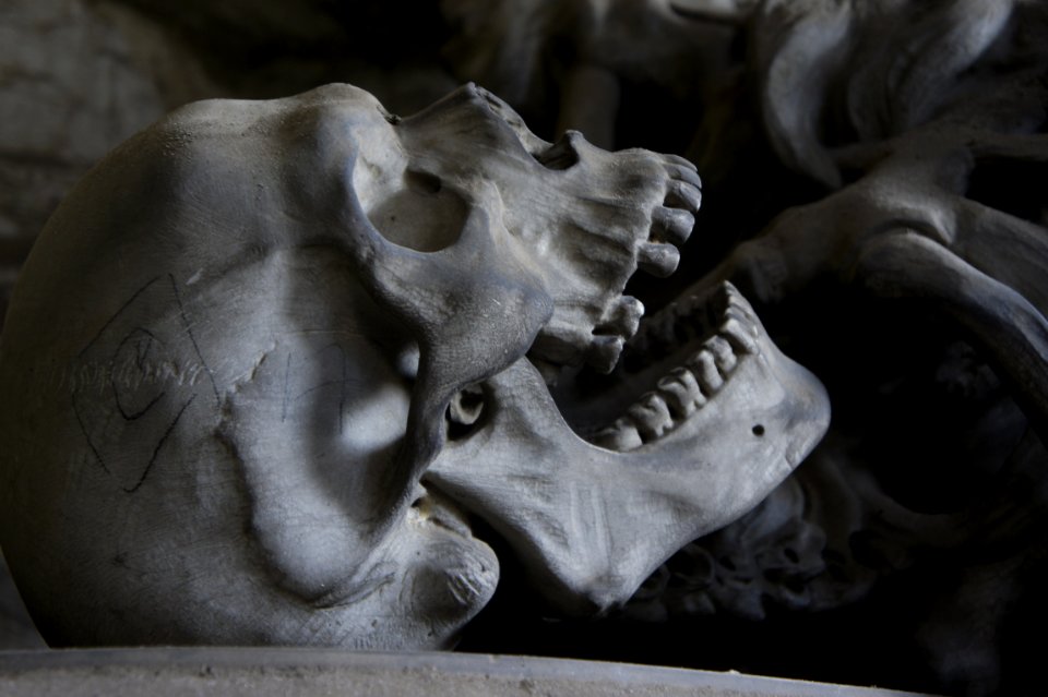 Sculpture Head Bone Stone Carving