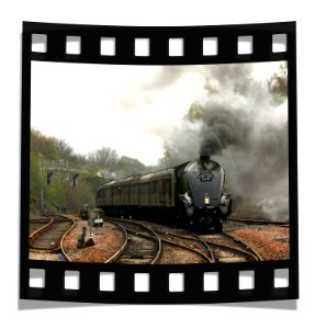 Train Vehicle Track Steam
