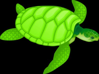 Sea Turtle Turtle Green Vertebrate