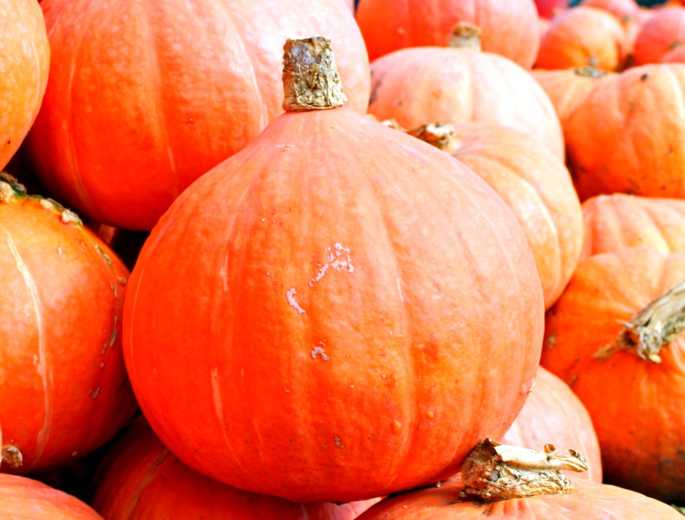 Vegetable Winter Squash Natural Foods Local Food