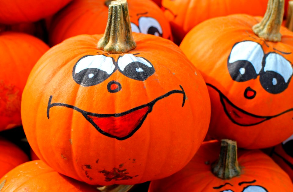 Pumpkin Calabaza Cucurbita Winter Squash
