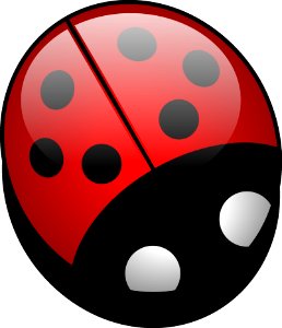 Red Ladybird Design Circle