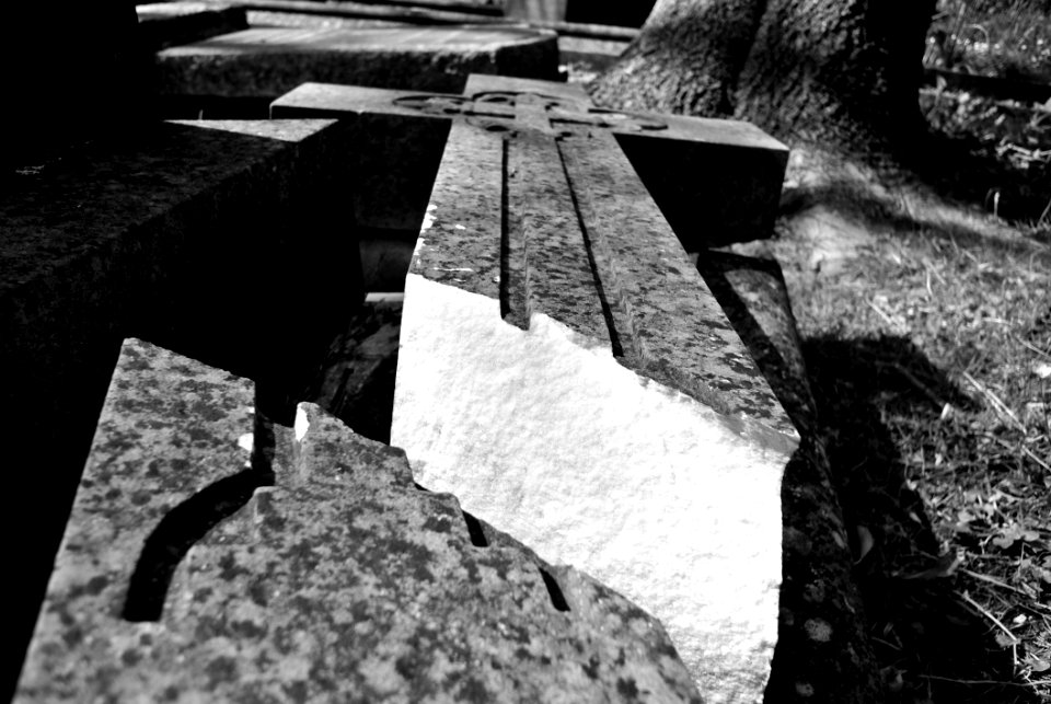 White Black Black And White Monochrome Photography