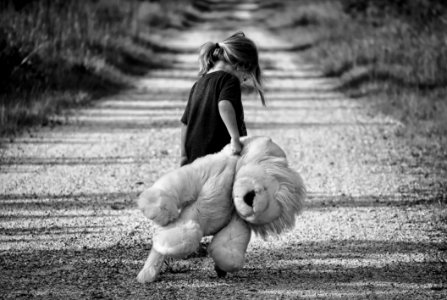 Photograph White Black Black And White