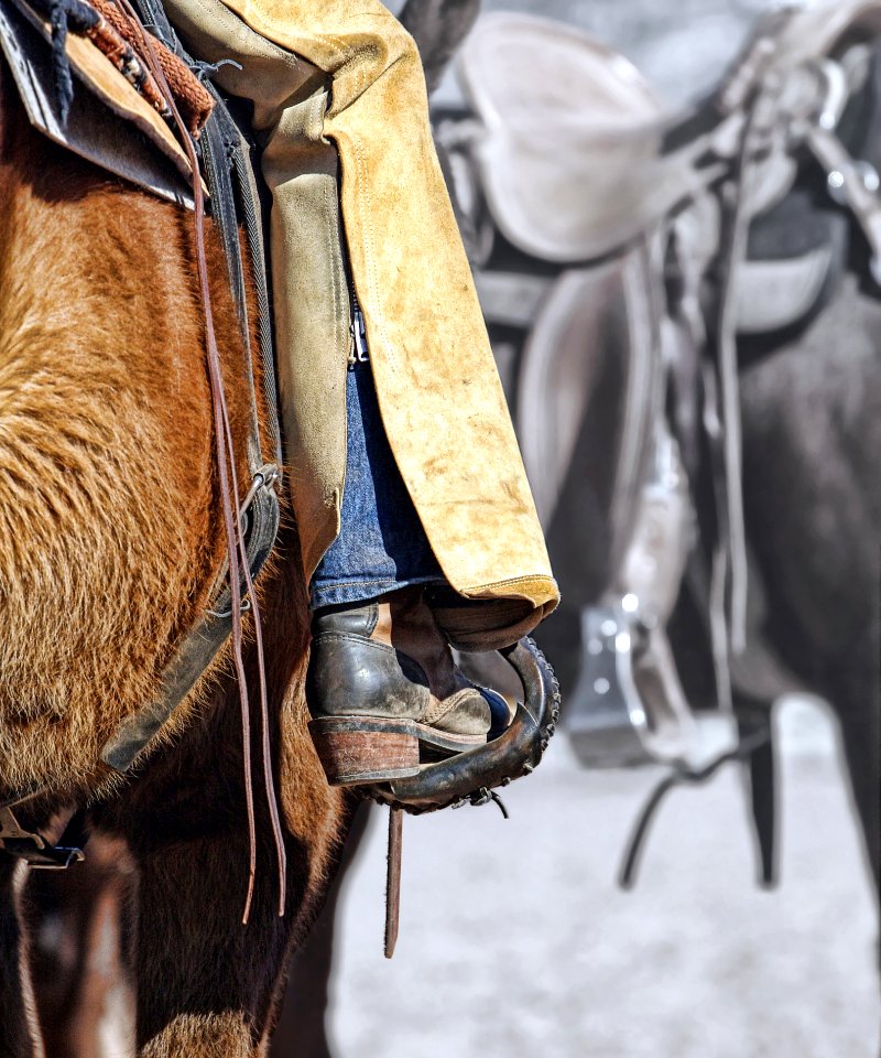 Horse Tack Bridle Horse Rein