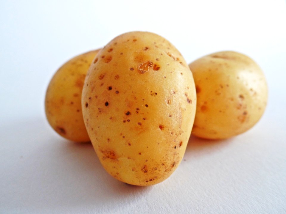 Root Vegetable Potato Yukon Gold Potato Food