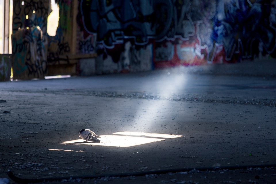 Light dirty abandoned