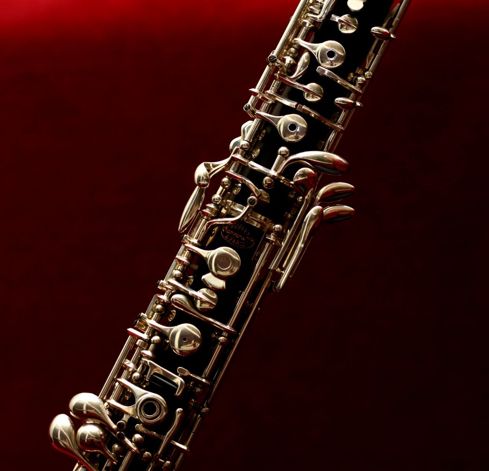 Musical Instrument Woodwind Instrument Wind Instrument Saxophonist