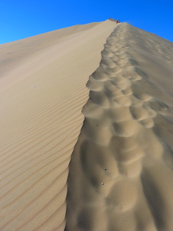 Singing Sand Erg Aeolian Landform Ecosystem